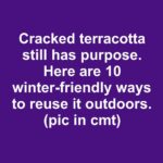 Does anyone know what’s going on?