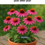 10 strange mulch hacks every winter gardener should know