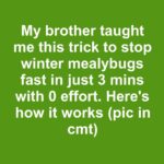 Don’t throw away those frost cloth scraps. Here are 10 smart ways to reuse them this winter.