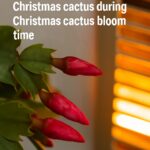 Stop trying to remove that—it’s not a weed. Here’s why