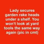 How to Make Calendula Oil at Home and Why It’s Used for Skin Repair