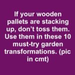 My neighbor taught me this trick to wipe out mealybugs in just 3 mins with 0 effort. Here’s how it works