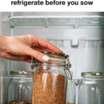 Don’t cheat. Spot the odd one out to understand your way of thinking.