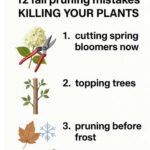 My gardener friend taught me this trick to flush out root gnats in just 1 min with 0 effort. Here’s how it works