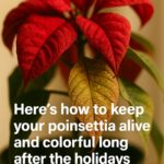 Most don’t know this. 10 unexpected uses of command hooks that will change your life