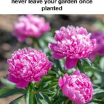 Baking soda makes flowers bloom and fuller? 10 best garden hacks most don’t know
