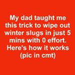 My coworker taught me this trick to clear out cold-season whiteflies in just 2 mins with 0 effort. Here’s how it works