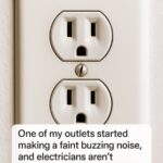 My coworker taught me this trick to clear out cold-season whiteflies in just 2 mins with 0 effort. Here’s how it works