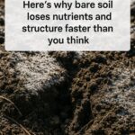 Here’s why adding coffee grounds directly to soil can cause issues for plants