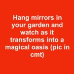 Plant asparagus once and harvest for decades with these 12 tips