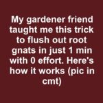 Got extra wire fencing? Here are 10 practical ways to repurpose it in your yard and garden.