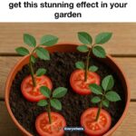 How to Pinch Basil the Right Way So It Doesn’t Flower Too Soon