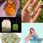 The Strength in Our Hands: Women’s Health and Wellness