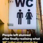 Two Golden Drinks to Reset Energy, Skin, and Hormones in Just 7 Days