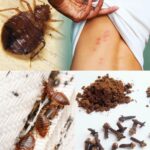 Does the soul really take days to depart? This is what studies on consciousness after de:a:th reveal