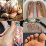 Want more than just sparrows? Here’s the secret menu for your backyard birds