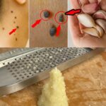 The Power of Peach Tree Resin (Tao Jiao): 15 Surprising Benefits and How to Use It at Home