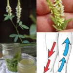 One of Baba Vanga’s chilling 2026 predictions may have come true early