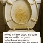 A Simple Fridge, A Powerful Life Lesson