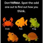 If You Spot a Painted Purple Fence, This Is What It Means