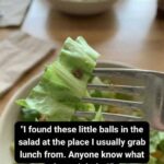 Understanding the Real Difference Between Store-Bought and Farm-Raised Beef