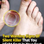 Letting my sister-in-law use our house for Christmas turned into a nightmare when we returned.