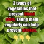 Benefits of Orange Peel Powder for Plants: How It Feeds Plants and Repels Pests