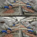 When You Eat Celery Every Day for a Week, Your Body Might Get These 14 Health Benefits