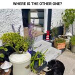 My fingertips keep splitting open in the cold, but I can’t get in to see the doctor anytime soon. What can I do now?