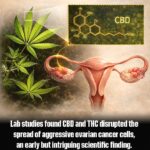 This One Superfood Could Tackle Major Health Issues—Here’s What You Need To Know