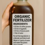 Egg myths busted facts taste better than fear