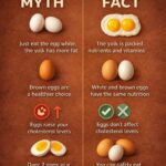 What’s the Circular Dent on a Milk Jug Really For? The Smart Design Most People Never Notice