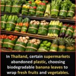 Jesus Wasn’t Born on December 25th – The Real Date in the Bible That Will Change Everything You Believe.