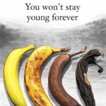 Euphorbia Hirta: 30 Benefits and How to Use It Safely