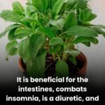 These are the consequences of wearing used…