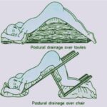 When you’re feeling under the weather the food you choose can play a pivotal role in your recovery