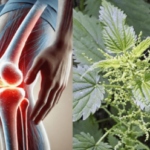 Travel tips: benefits and services that some adults over 60 can take advantage of when traveling.