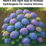 Before discarding old mulch bags, read this: here are 10 brilliant winter uses for them.