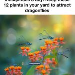 Spotted this green stuff near my garden. Looks like decay. Should I get rid of it or keep it?