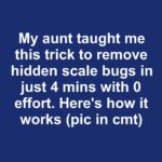 How to Pinch Basil the Right Way So It Doesn’t Flower Too Soon