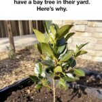 I had no clue about this