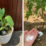 Pancreatic cancer: These 10 signs can help you detect it (don’t ignore them)