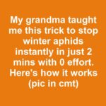 My grandpa’s grocery receipt printed with a thick blue stripe down the side. What does the blue stripe mean?