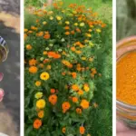 I Was Just a Little Girl Selling Oranges to Help My Sick Mom — But When I Walked Into a Millionaire’s Mansion and Whispered, ‘Why Do You Have My Mom’s Picture Here?’ Everything I Believed About My Life Began to Unravel…