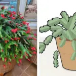 Don’t Toss Lavender Stems – Here Are 8 Clever Ways to Use Them at Home