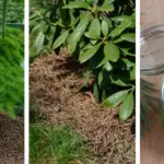 3 problems when using the bathroom in the morning are signs that can.cer cells may be active!