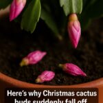 Ooops, guess I’ve been doing this wrong