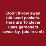 Don’t get rid of old tree stumps. Here are 10 brilliant ways to re-use them in your garden