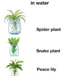 If you have leftover soil bags, don’t throw them out. Here are 10 smart ways gardeners reuse them every season