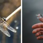 10 leaf cleanup mistakes messing up your garden